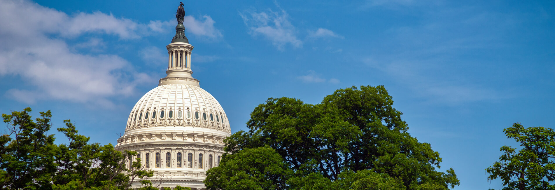 Us Capitol 28 (banner)